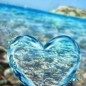 Meet your Posher, Rhonda